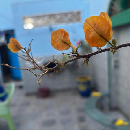 Casa Morisca Villa Sidi Ifni Luaran gambar