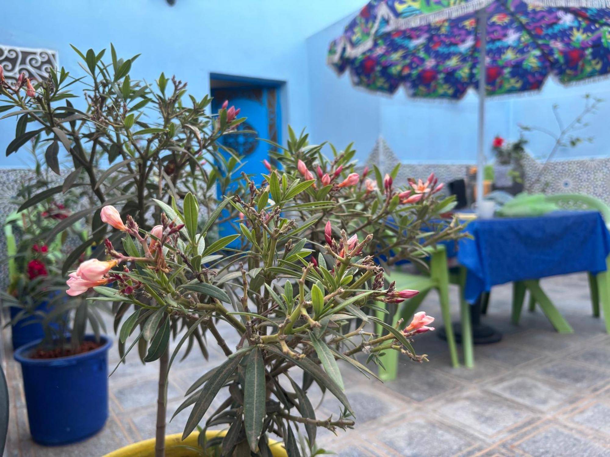 Casa Morisca Villa Sidi Ifni Luaran gambar