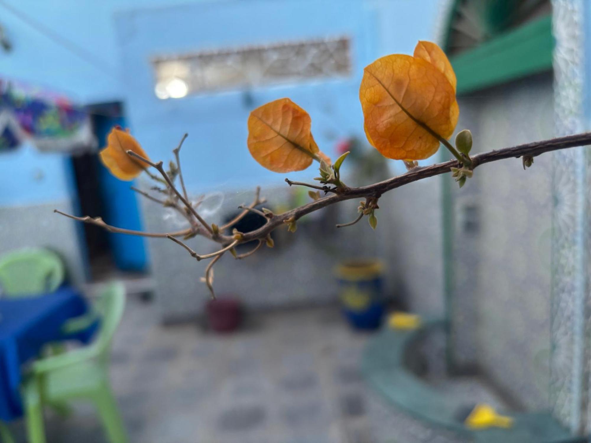 Casa Morisca Villa Sidi Ifni Luaran gambar