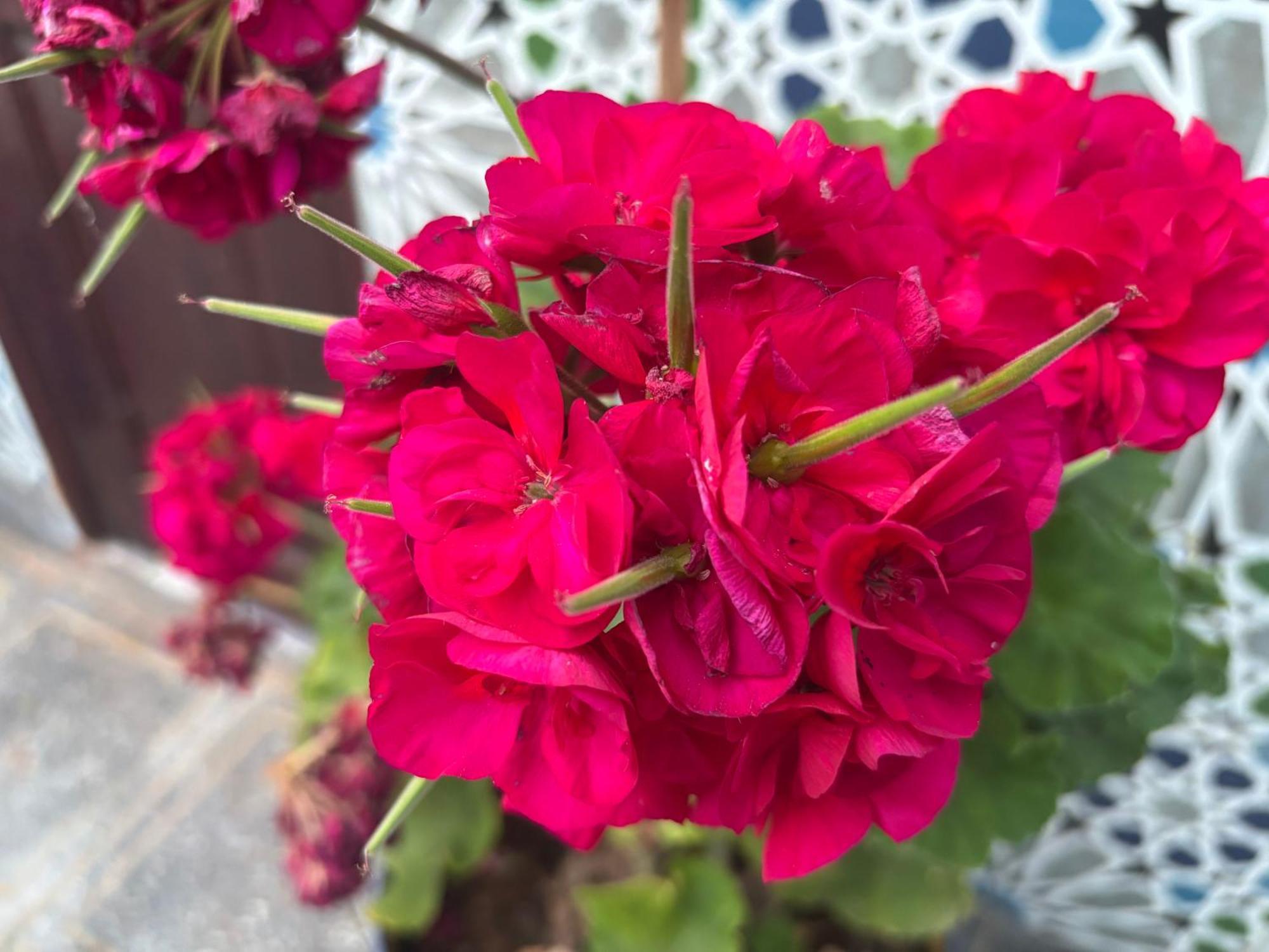 Casa Morisca Villa Sidi Ifni Luaran gambar
