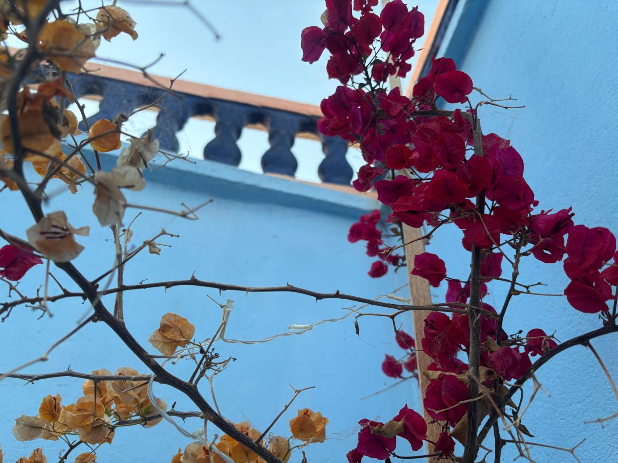 Casa Morisca Villa Sidi Ifni Luaran gambar